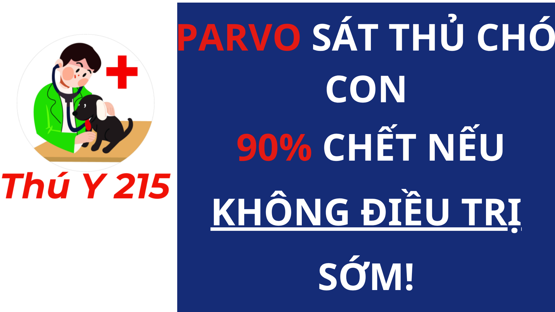 Parvo ở chó con – bệnh truyền nhiễm nguy hiểm cần điều trị sớm