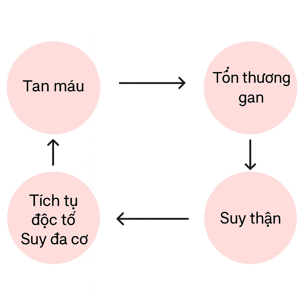 Sơ đồ vòng xoáy bệnh lý cơ chế bệnh sinh chó bị ký sinh trùng máu suy thận suy gan