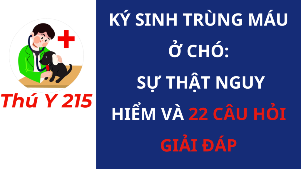 Ký sinh trùng máu ở chó: Sự thật nguy hiểm và 22 câu hỏi